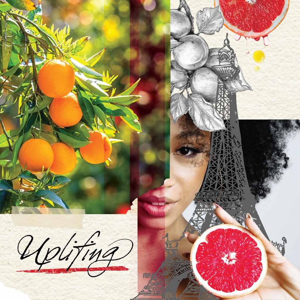 Collage of images of grapefruit tree branch, a pencil drawn branch of grapefruit tree branch, woman holding half of grapefruit overlayed with the Eiffel tower and text that reads "Uplifting".
