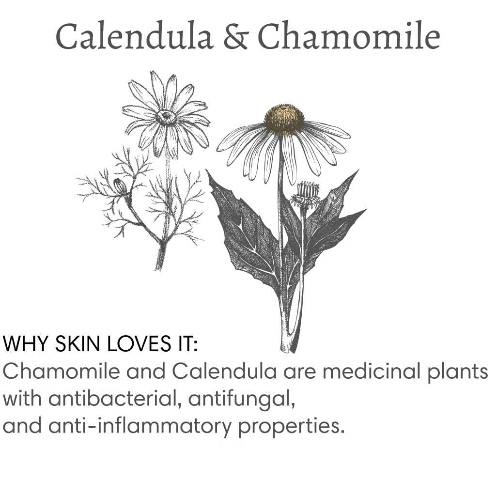 Title reads "Calendula & Chamomile", with image of a calendula flower and a chamomile flower followed by text that reads "Why skin loves it: Chamomile and Calendula are medicinal plants with antibacterial, antifungal, and anti-inflammatory properties".