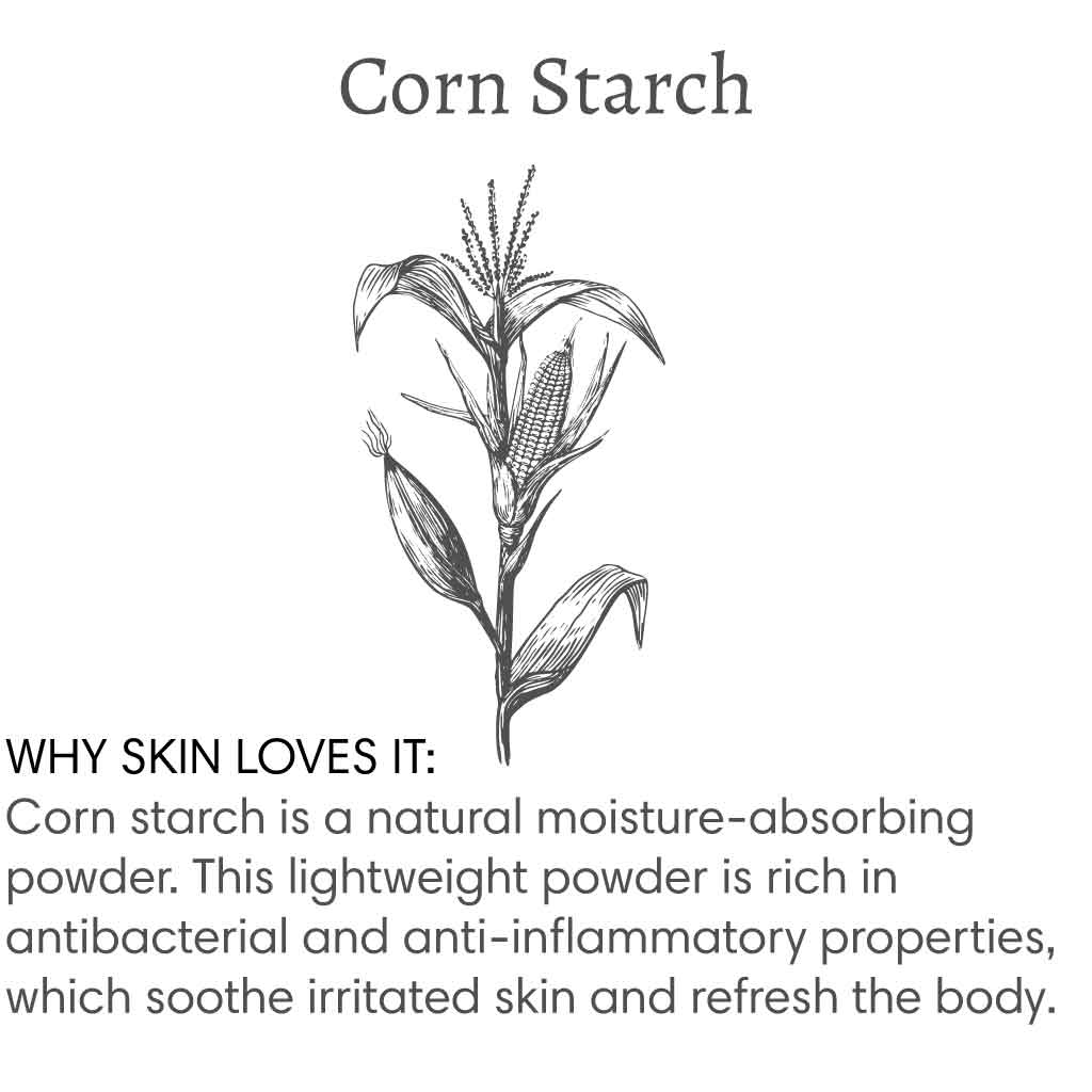 Title reads "Corn Starch", with image of a corn stalk followed by text that reads "Why skin loves it: Corn starch is a natural moisture-absorbing powder. This lightweight powder is rich in antibacterial and anti-inflammatory properties, which sooth irritated skin and refresh the body".