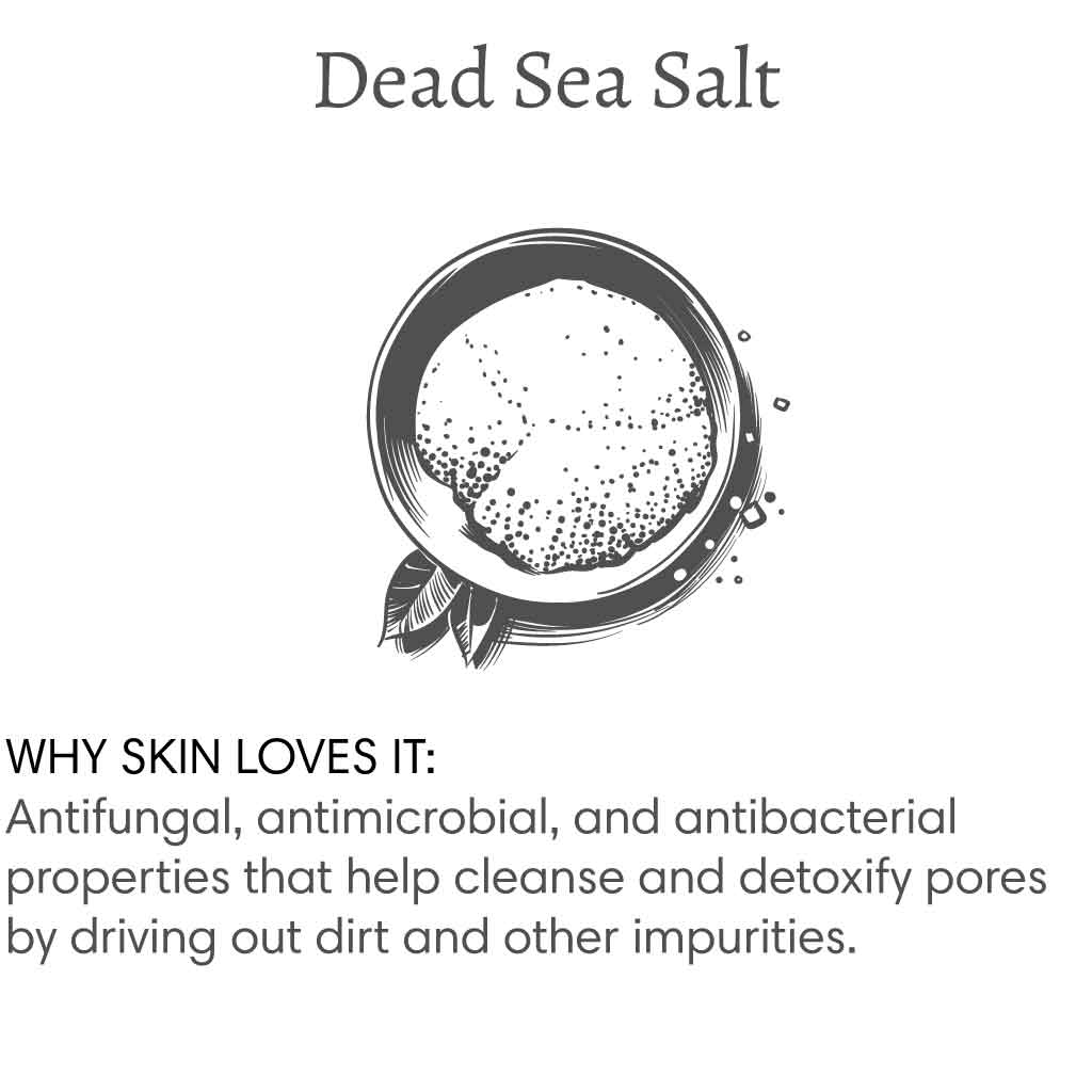 Title reads "Dead Sea Salt", with image of a sugar cane and a pile of sugar followed by text that reads "Why skin loves it: Anti-fungal, antimicrobial, and antibacterial properties that help cleanse and detoxify pores by driving out dirt and other impurities.".