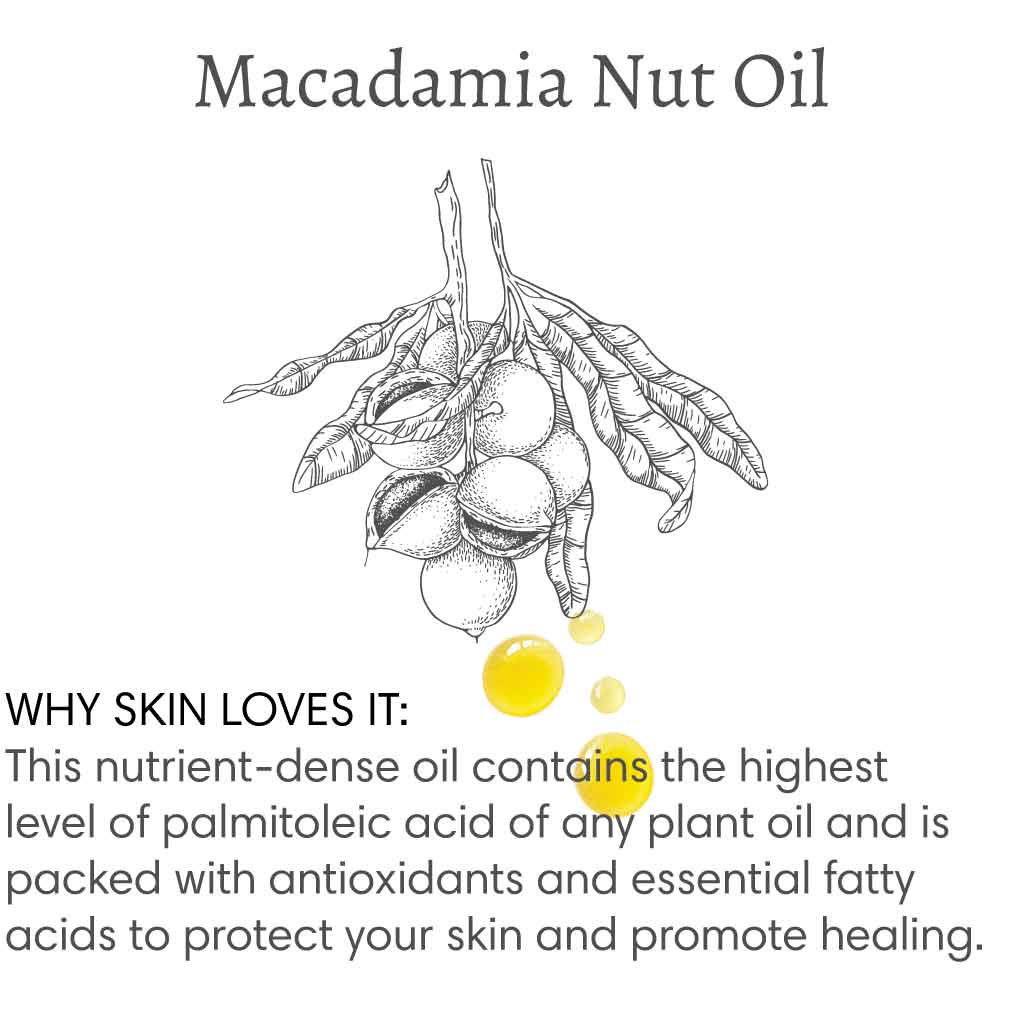 Title reads "Macadamia Nut Oil", with image of a branch of macadamia nuts followed by text that reads "Why skin loves it: This nutrient-dense oil contains the highest level of palmitoleic acid of any plant oil and is packed with antioxidants and essential fatty acids to protect your skin and promote healing.".