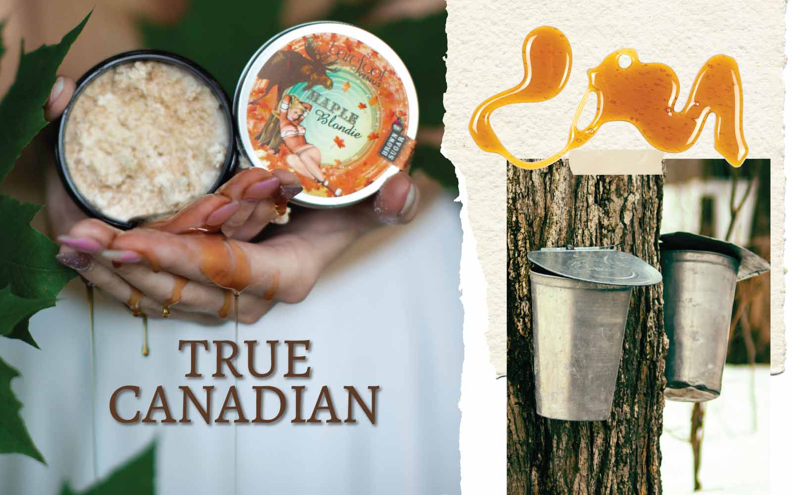 Hands holding an open jar of Barefoot Venus Maple Blondie sugar scrub, with syrup dripping from fingers. The jar lid features a fall-themed design with a pin-up illustration, maple leaves and a moose, along with art of maple syrup and metal sap buckets collecting maple syrup from a tree with text that reads "True Canadian.