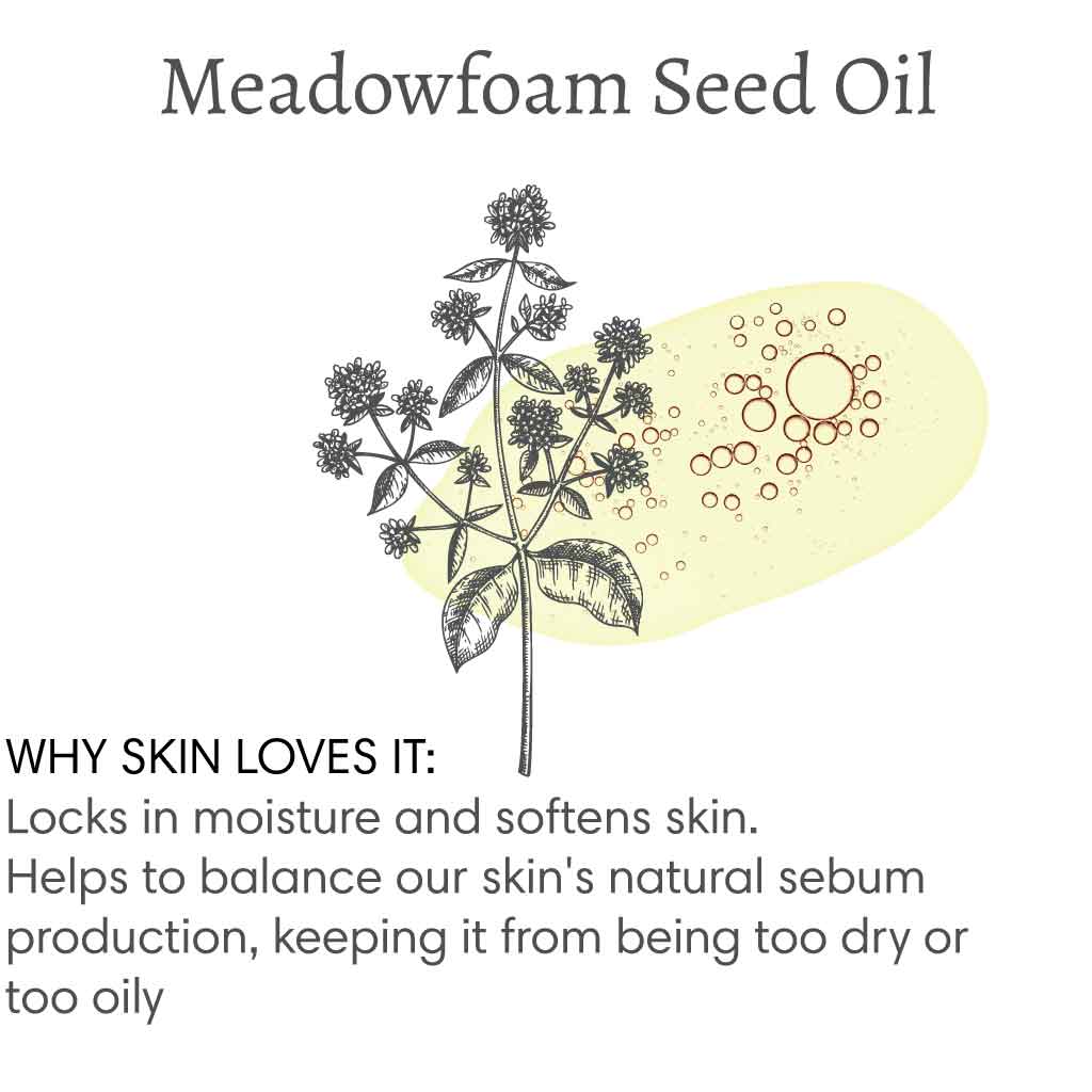 Title reads "Meadowfoam Seed Oil", with image of a branch of a meadowfoam plant followed by text that reads "Why skin loves it: Locks in moisture and softens skin. Helps to balance our skin's natural sebum production, keeping it from being too dry or too oily".