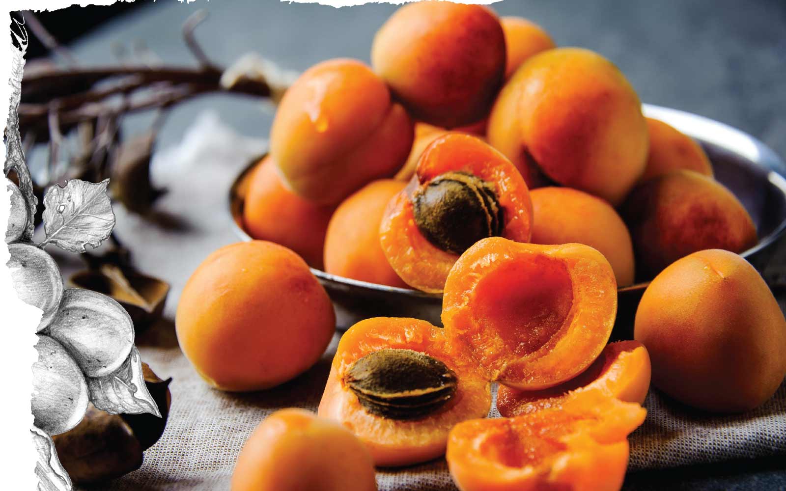 Mountain of apricots, 2 cut open to expose the pit, with decorative frame.