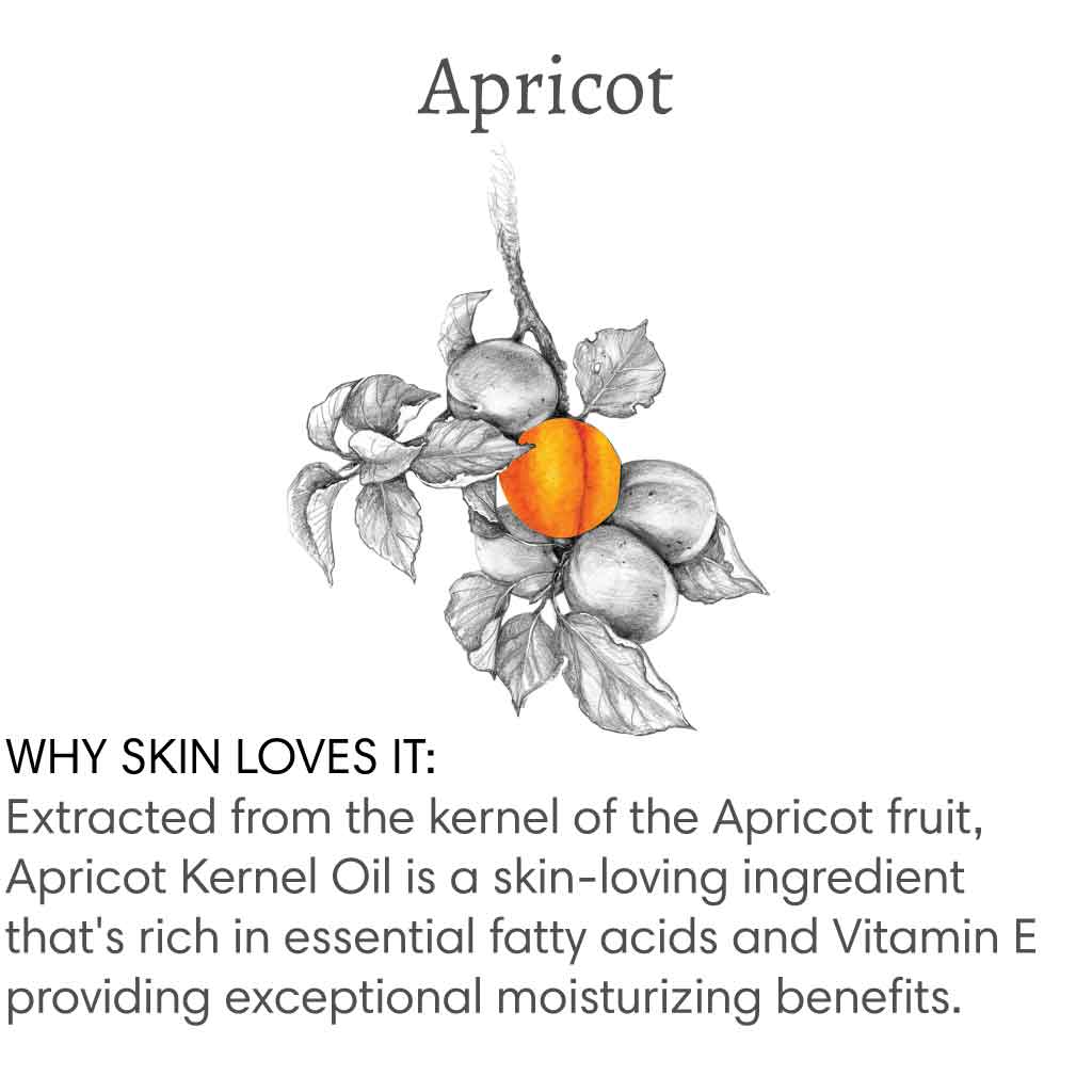 Title reads "Apricot", with image of a branch of apricot tree followed by text that reads "Why skin loves it: Extracted from the kernel of the Apricot fruit, Apricot Kernel Oil is a skin-loving ingredient that's rich in essential fatty acids and Vitamin E providing exceptional moisturizing benefits".