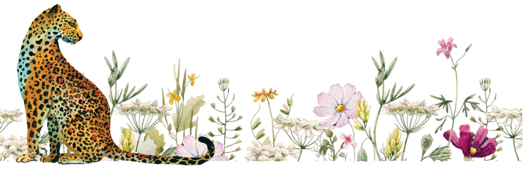 Leopard sitting among flowers and plants on a white background