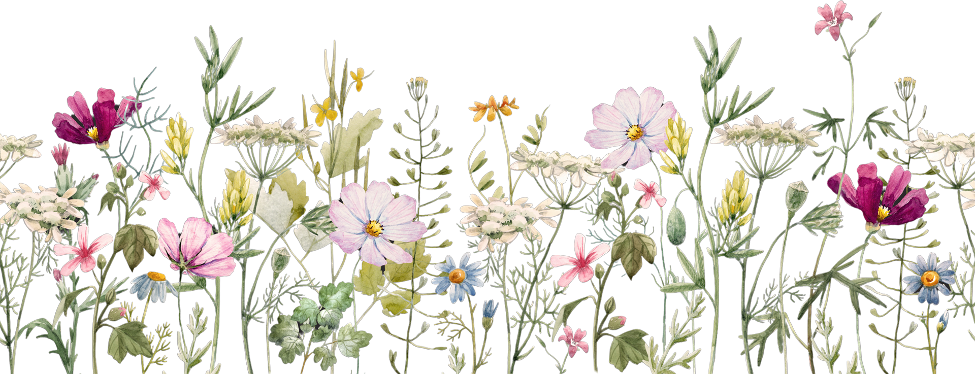 Full Width Image